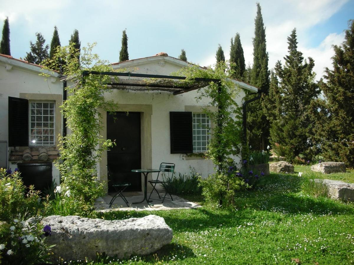 Vignagrande Agriturismo Saturnia Εξωτερικό φωτογραφία